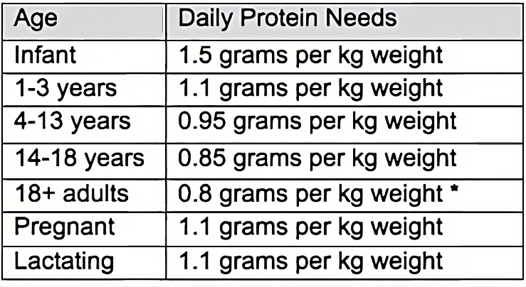 daily-protein-intake-calculator